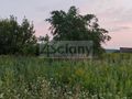 Działka inwestycyjna 8400 m², Nowa Wola - zdjęcie 6