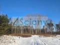 Działka budowlana 967&nbsp;m², Kobyłka - zdjęcie 1
