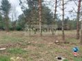 Działka budowlana 800 m², Góra Kalwaria - zdjęcie 3