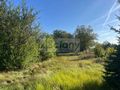 Działka budowlana 1243 m², Domaniewek Pierwszy - zdjęcie 3