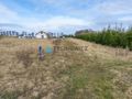 Działki budowlane 1487-1491 m² | MPZP | Debrzno - zdjęcie 5