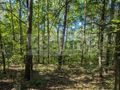 Działka budowlana 3500 m², Władysławów - zdjęcie 1