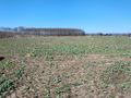 Działka budowlana 2,04 ha, Kryspinów - zdjęcie 1