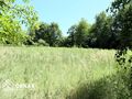 Działka budowlana 1208&nbsp;m², Modlniczka - zdjęcie 1