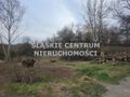 Działka budowlana 976 m², Będzin, al. Piłsudskiego - zdjęcie 3