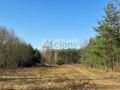 Działka budowlana 5518 m², Ojrzanów - zdjęcie 3