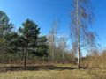 Działka budowlana 5518 m², Ojrzanów - zdjęcie 6