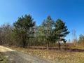 Działka budowlana 1,10 ha, Ojrzanów - zdjęcie 4