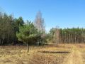 Działka budowlana 1,10 ha, Ojrzanów - zdjęcie 1