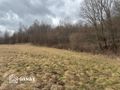 Działka rolna 1,03 ha, Zarzyce Wielkie - zdjęcie 3