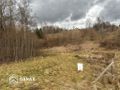 Działka rolna 1,03 ha, Zarzyce Wielkie - zdjęcie 2