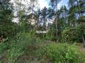 Działka rolna 3776&nbsp;m², Krynickie - zdjęcie 6