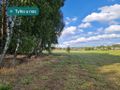 Działka rolna 3776&nbsp;m², Krynickie - zdjęcie 1