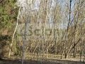 Działka budowlana 1800 m², Magdalenka - zdjęcie 3