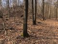 Działka inwestycyjna 4,44&nbsp;ha, Katowice, Goetla - zdjęcie 4