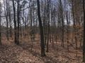 Działka inwestycyjna 4,44&nbsp;ha, Katowice, Goetla - zdjęcie 2