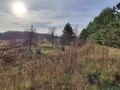 Działka inwestycyjna 6301 m², Sosnowiec, Grenadierów - zdjęcie 6