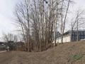 Działka inwestycyjna 3546 m², Katowice, Bohaterów Monte Cassino - zdjęcie 3
