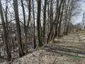 Działka inwestycyjna 3546 m², Katowice, Bohaterów Monte Cassino - zdjęcie 4