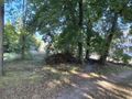 Działka inwestycyjna 3589 m², Sosnowiec, Kraszewskiego - zdjęcie 5