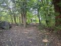 Działka inwestycyjna 9748 m², Sosnowiec, Dobrzańskiego - zdjęcie 3
