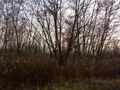 Działka inwestycyjna 19,80 ha, Sosnowiec, Minerów i Grenadierów - zdjęcie 4