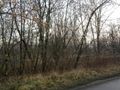 Działka inwestycyjna 19,80 ha, Sosnowiec, Minerów i Grenadierów - zdjęcie 5