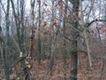 Działka inwestycyjna 1,91&nbsp;ha, Katowice, Upadowa - zdjęcie 3