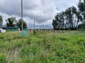 Działka Plac składowy na wynajem Gdańsk - zdjęcie 5