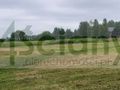 Działka budowlana 2438 m², Strzeniówka - zdjęcie 1