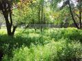 Działka budowlana 1004 m², Warszawa - zdjęcie 3