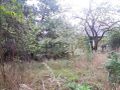 Działka budowlana 1268 m², Piastów - zdjęcie 4