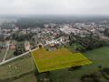 Działka budowlana 7479&nbsp;m², Wygoda, Wiejska - zdjęcie 3