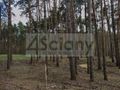 Działka budowlana 6050&nbsp;m², Długa Szlachecka - zdjęcie 2