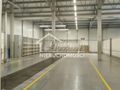 Lokal usługowy do wynajęcia, 2257 m², Szczecin - zdjęcie 3