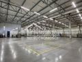 Lokal usługowy do wynajęcia, 2257 m², Szczecin - zdjęcie 1