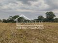 Działka rolna 2438 m², Barnisław - zdjęcie 1