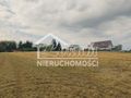 Działka rolna 2438 m², Barnisław - zdjęcie 4