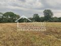 Działka rolna 2438 m², Barnisław - zdjęcie 2