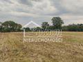 Działka rolna 2438 m², Barnisław - zdjęcie 3