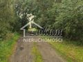 Działka rolna 2438 m², Barnisław - zdjęcie 6