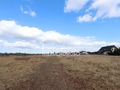 Działka budowlana 1580&nbsp;m², Białuń - zdjęcie 4