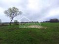 Działka budowlana 1951&nbsp;m², Dobropole Gryfińskie - zdjęcie 2