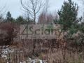 Działka budowlana 3600 m², Nowy Prażmów - zdjęcie 2