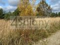 Działka rolna 3350&nbsp;m², Stary Łajszczew - zdjęcie 3