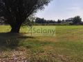 Działka budowlana 930 m², Radzymin - zdjęcie 2