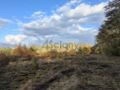Działka budowlana 2834&nbsp;m², Żółwin - zdjęcie 1