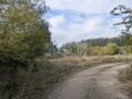 Działka budowlana 2834&nbsp;m², Żółwin - zdjęcie 6