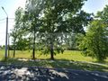 Działka budowlana 857,43 m², Błonie - zdjęcie 1