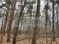 Działka budowlana 6500 m², Książenice - zdjęcie 2